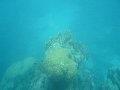 DSC00640