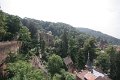 IMG_4222