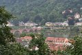 IMG_4778