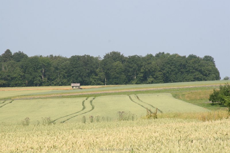 IMG_4967.JPG - Herrenberg early morning walk