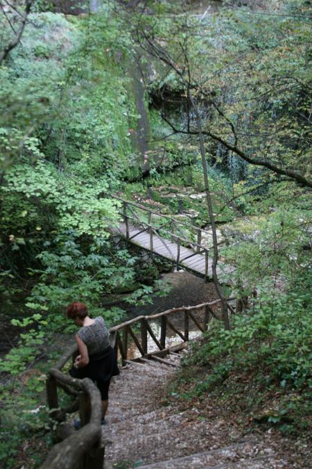 IMG_1388.JPG - Steps down to Gorge