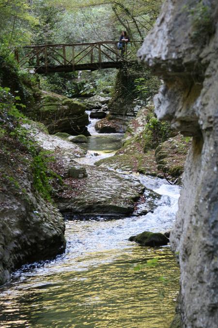 IMG_1455.JPG - Crystal Clear Stream