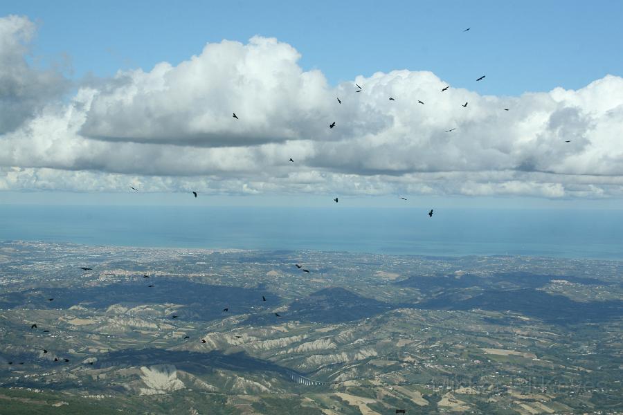 IMG_2336.JPG - WIth the Birds at Blockhaus