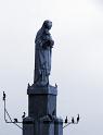 IMG_1256