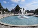 IMG_1251