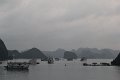 IMG_8232
