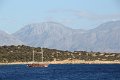 IMG_9455