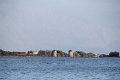 IMG_9100