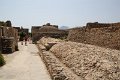 IMG_8568