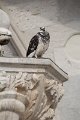 IMG_7685