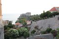 IMG_7801