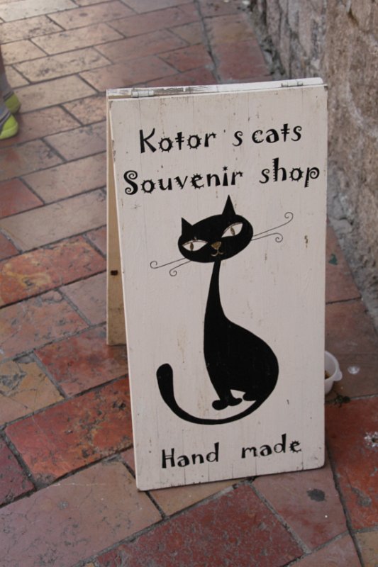 IMG_8535.JPG - Kotor Cats