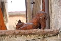 IMG_8442