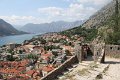 IMG_8503