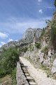 IMG_8506