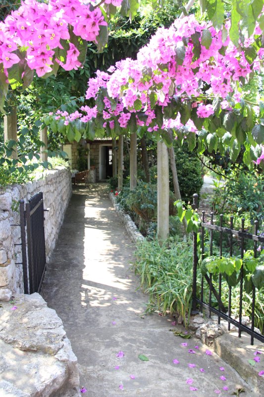 IMG_7875.JPG - Well maintained path. 