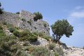 IMG_7877