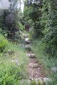 IMG_8011