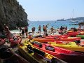 IMG_6235