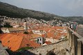 IMG_8770