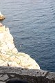 IMG_8793