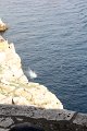 IMG_8794