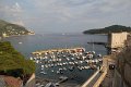 IMG_8904