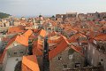 IMG_8921