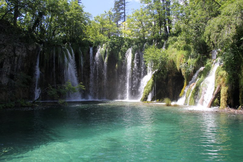 IMG_9485.JPG - The water carries limestone sediment which coats everthing on the bottom. 