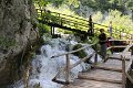IMG_9554