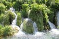 IMG_9559