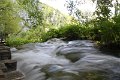 IMG_9574