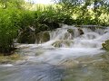 IMG_9578