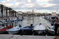 IMG_9687