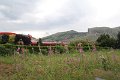 IMG_0243
