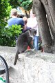 IMG_0261
