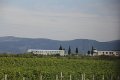 IMG_0365