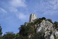 IMG_0369
