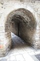 IMG_0503