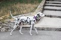IMG_0546