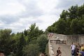 IMG_0556