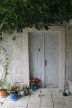 IMG_0594