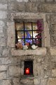 IMG_0650