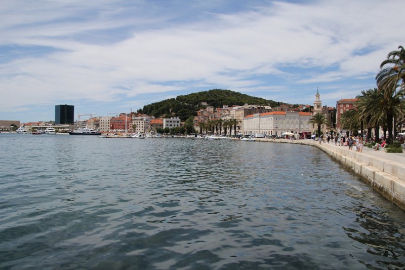 IMG_9918.JPG