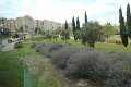 IMG_0090