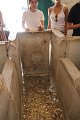 IMG_9870