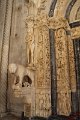 IMG_9988