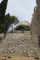 IMG_1211