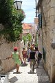 IMG_1231