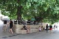 IMG_0843